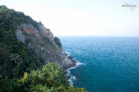 IMG_3806.jpg