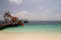 IMG_6978.jpg