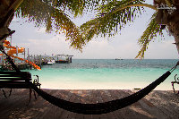 IMG_6980.jpg