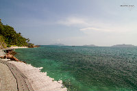 IMG_7041.jpg