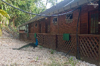 IMG_7110.jpg