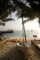 IMG_7116.jpg