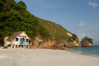 IMG_7122.jpg
