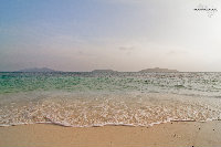 IMG_7128.jpg