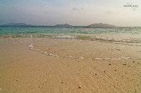 IMG_7135.jpg