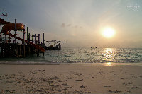 IMG_7156.jpg
