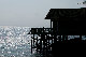 IMG_3769.jpg