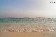 IMG_7128.jpg