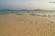 IMG_7135.jpg