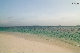 IMG_7140.jpg