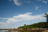_MG_4128.jpg