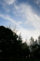 _MG_4146.jpg