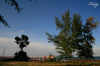 _MG_4247.jpg