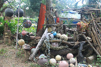 balau05.jpg