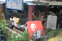 balau06.jpg