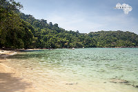 IMG_6947.jpg