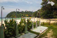 IMG_7028.jpg
