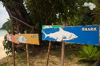 IMG_7045.jpg