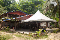 IMG_7074.jpg