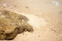 IMG_7125.jpg
