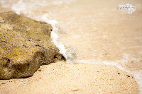 IMG_7131.jpg