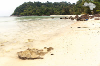 IMG_7152.jpg