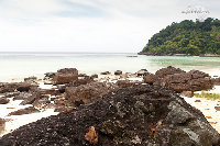 IMG_7157.jpg