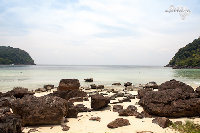 IMG_7161.jpg