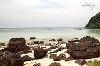 IMG_7165.jpg