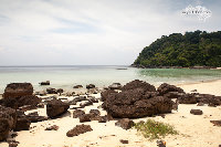 IMG_7166.jpg