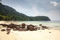 IMG_7167.jpg