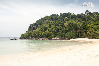 IMG_7172.jpg