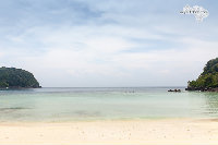 IMG_7174.jpg