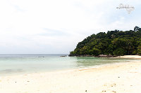 IMG_7178.jpg